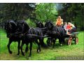 Complex turistic Casa Viorel, Poiana Brasov - thumb 20