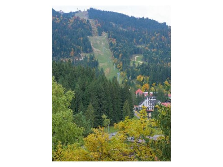 Pensiunea Condor, Poiana Brasov - imaginea 