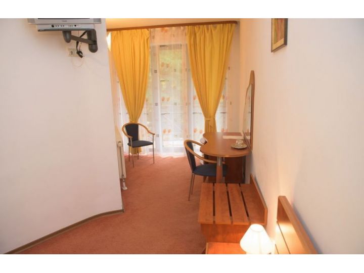 Pensiunea Condor, Poiana Brasov - imaginea 