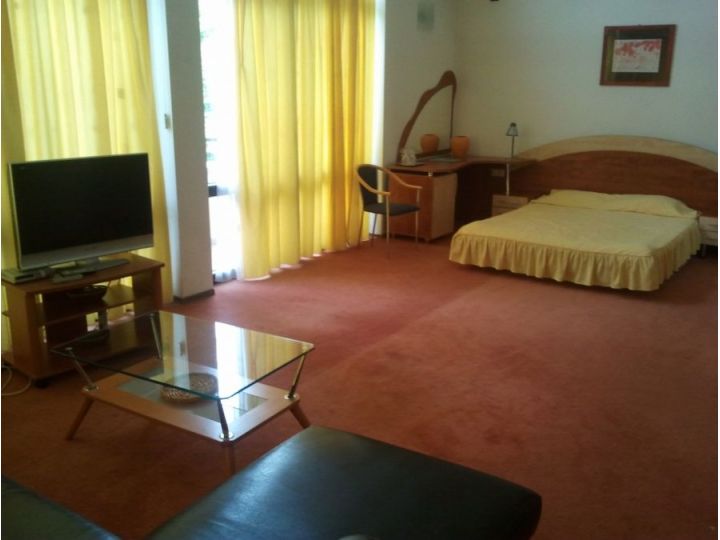 Pensiunea Condor, Poiana Brasov - imaginea 