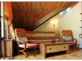 Hotel Denisa Boutique, Poiana Brasov - 4