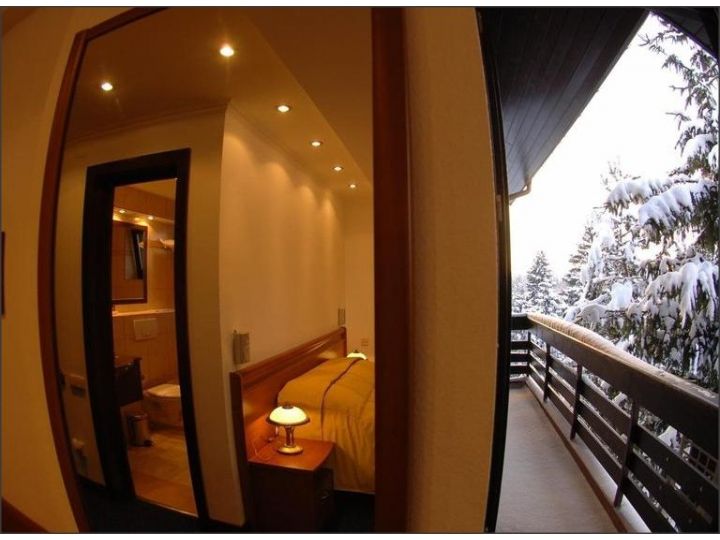 Pensiunea Drachenhaus, Poiana Brasov - imaginea 