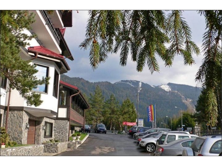 Pensiunea Drachenhaus, Poiana Brasov - imaginea 