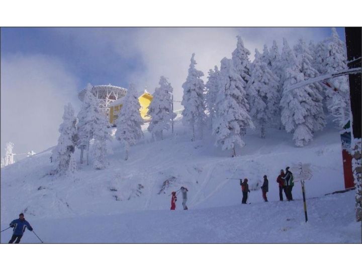 Pensiunea Drachenhaus, Poiana Brasov - imaginea 