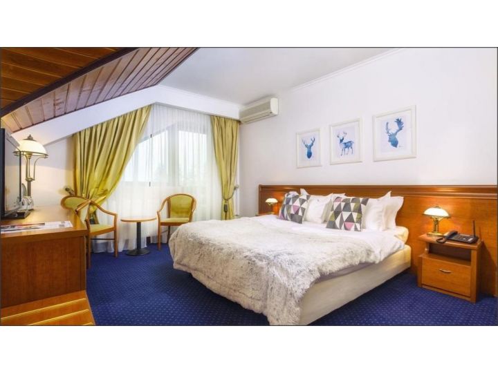Pensiunea Drachenhaus, Poiana Brasov - imaginea 