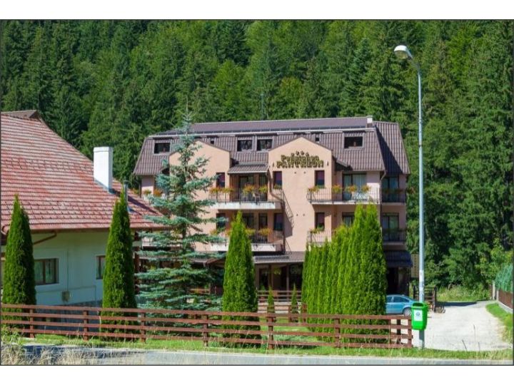 Pensiunea Pantheon, Poiana Brasov - imaginea 
