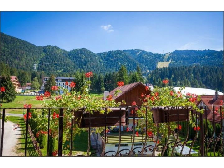 Pensiunea Pantheon, Poiana Brasov - imaginea 