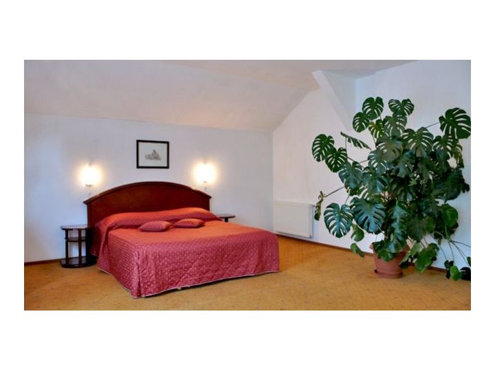 Hotel Ruia, Poiana Brasov - imaginea 