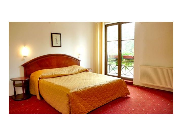 Hotel Ruia, Poiana Brasov - imaginea 