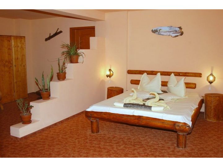 Pensiunea Casa Ardeleana, Predeal - imaginea 