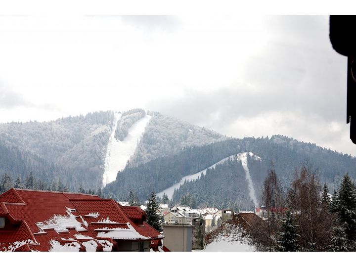 Pensiunea Casa Dunarea, Predeal - imaginea 