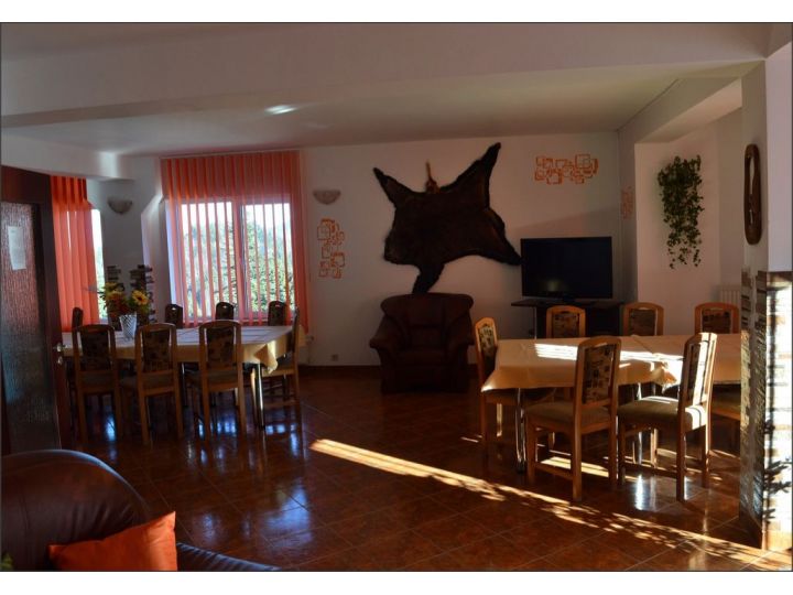 Pensiunea Dor De Munte, Predeal - imaginea 
