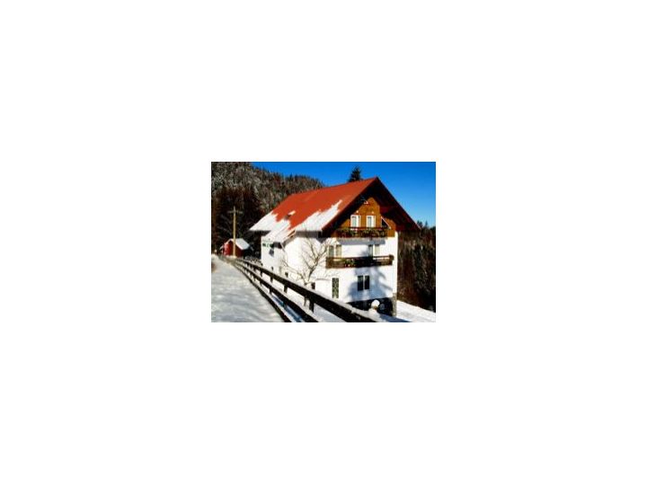 Pensiunea Dor De Munte, Predeal - imaginea 
