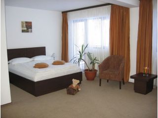 Hotel Meitner, Predeal - 3