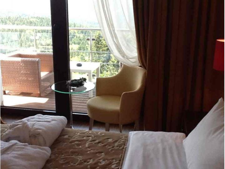 Camere de inchiriat Mythos Luxury Rooms, Predeal - imaginea 