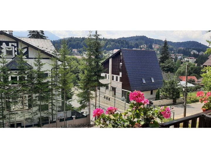 Hotel Mountain Breeze, Predeal - imaginea 