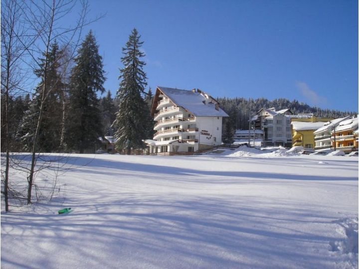 Pensiunea Tamina, Predeal - imaginea 
