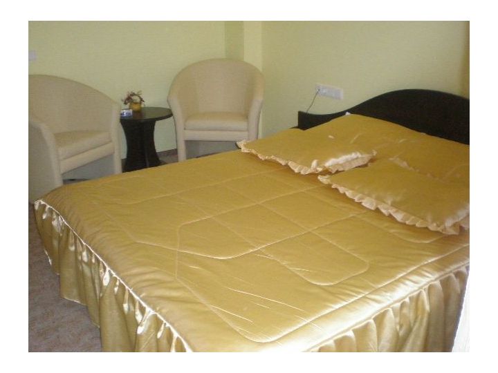 Pensiunea White Horse, Predeal - imaginea 