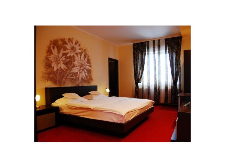 Complex turistic Max International, Rasnov - imaginea 