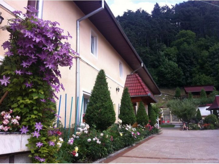Pensiunea Cristina, Rasnov - imaginea 
