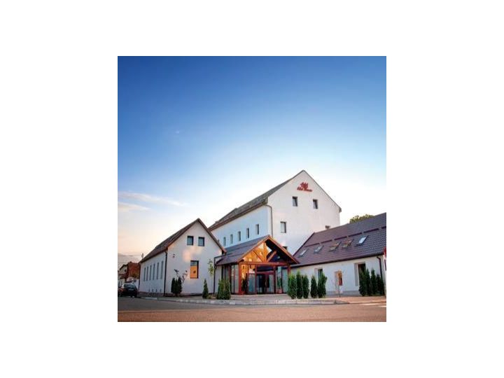 Hotel Edel House, Rasnov - imaginea 