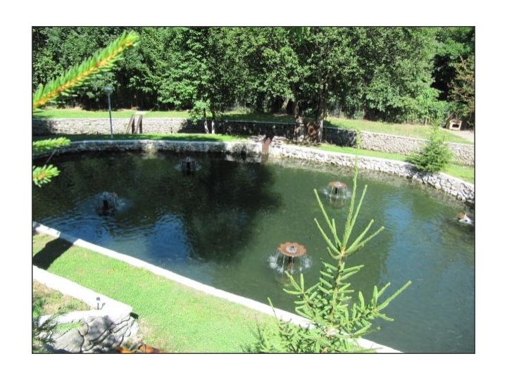 Pensiunea Paradisul Naturii, Recea - imaginea 