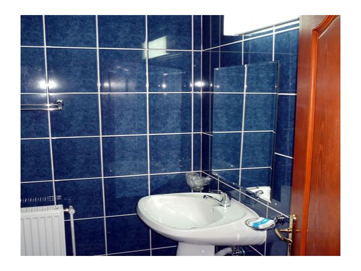 Motel Liliana, Rupea - imaginea 
