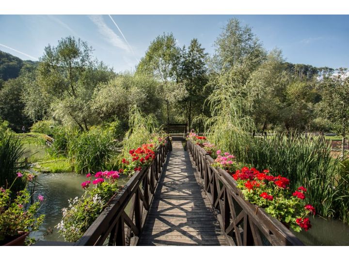 Hotel Hanul Dambu Morii, Timisul De Jos - imaginea 