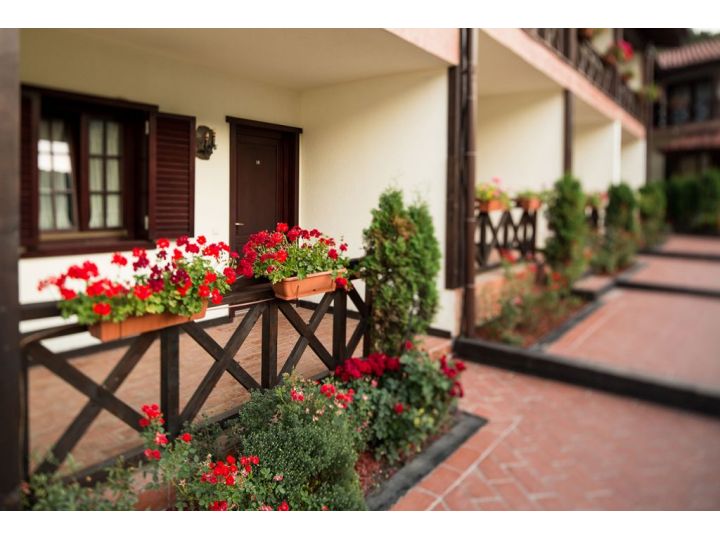 Hotel Hanul Dambu Morii, Timisul De Jos - imaginea 