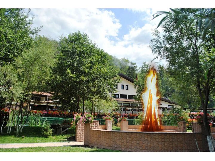 Hotel Hanul Dambu Morii, Timisul De Jos - imaginea 