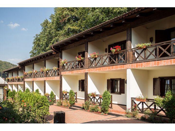 Hotel Hanul Dambu Morii, Timisul De Jos - imaginea 