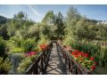 Hotel Hanul Dambu Morii, Timisul De Jos - thumb 11