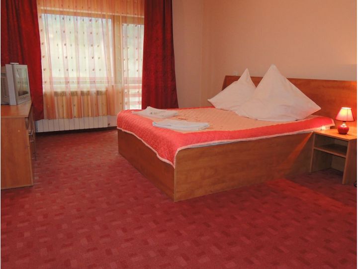 Pensiunea Poiana Izvorului, Sambata de Sus - imaginea 