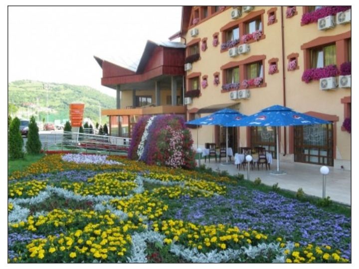 Hotel Royal Garden Tarlungeni, Tarlungeni - imaginea 