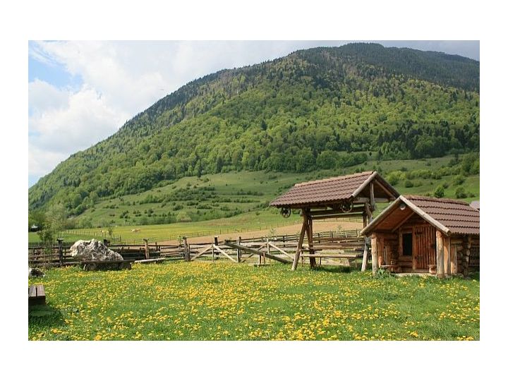 Pensiunea Hora Cu Brazi, Zarnesti - imaginea 