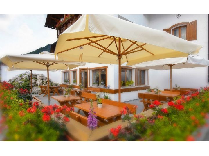Cabana Popasul Craiului, Zarnesti - imaginea 