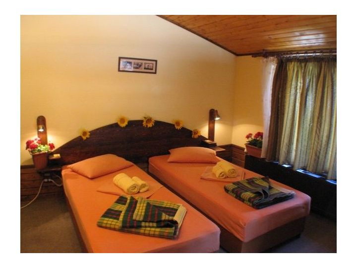 Pensiunea Casa Mica, Bucuresti - imaginea 
