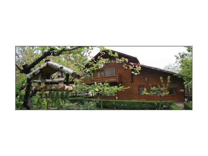 Pensiunea Casa Verde Star, Bucuresti - imaginea 