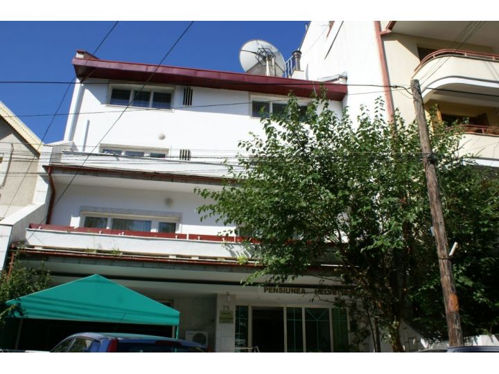 Pensiunea Helvetia, Bucuresti - imaginea 