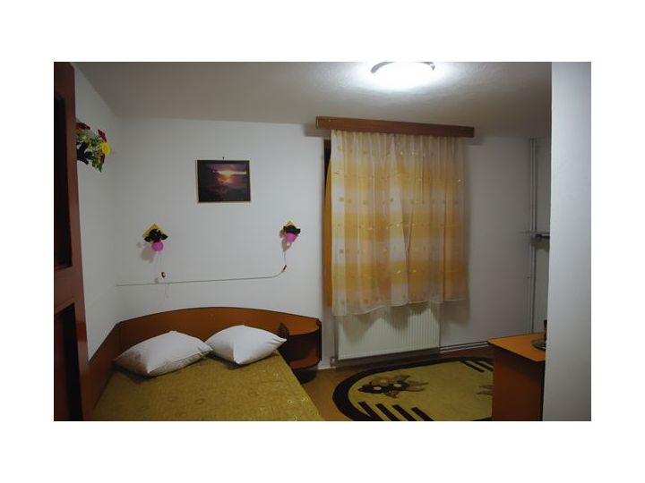 Pensiunea Sanliv Confort, Bucuresti - imaginea 