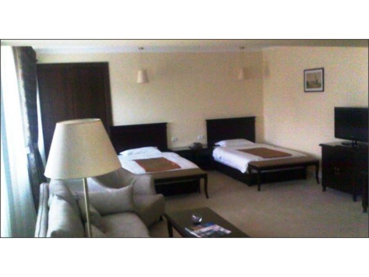 Hotel Art, Buzau Oras - imaginea 