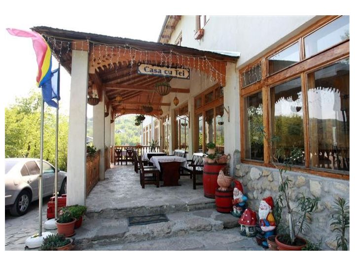 Pensiunea Casa Cu Tei, Sarata Monteoru - imaginea 