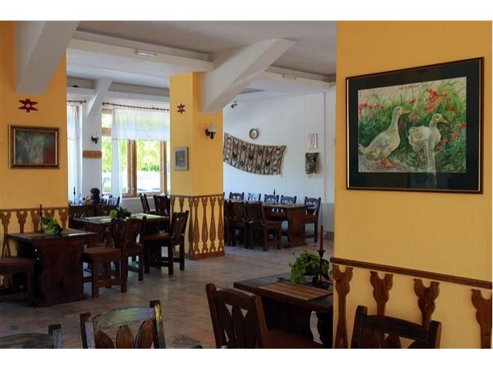 Pensiunea Casa Cu Tei, Sarata Monteoru - imaginea 