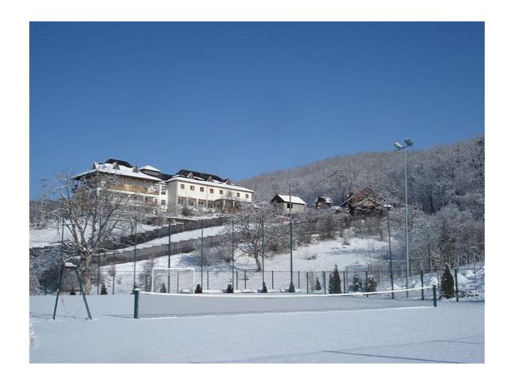 Pensiunea Casa Cu Tei, Sarata Monteoru - imaginea 