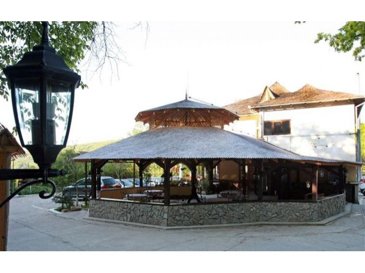 Pensiunea Casa Cu Tei, Sarata Monteoru - imaginea 