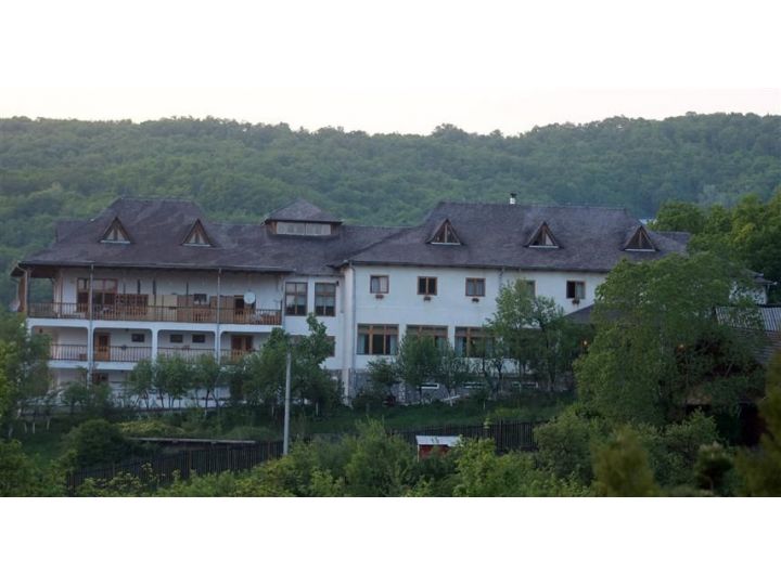 Pensiunea Casa Cu Tei, Sarata Monteoru - imaginea 