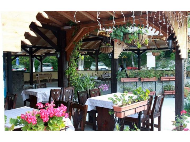 Pensiunea Casa Cu Tei, Sarata Monteoru - imaginea 