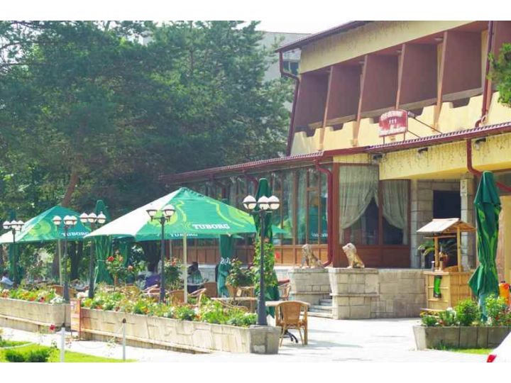 Hotel Cazino Spa, Sarata Monteoru - imaginea 