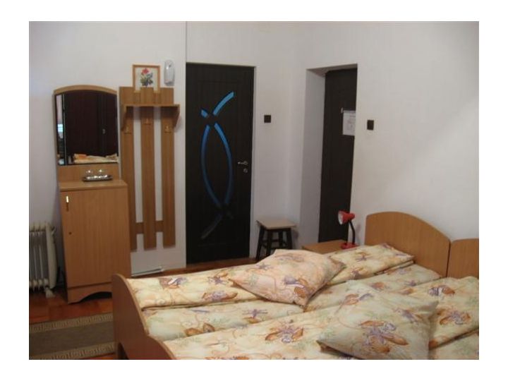 Vila Olga, Sarata Monteoru - imaginea 