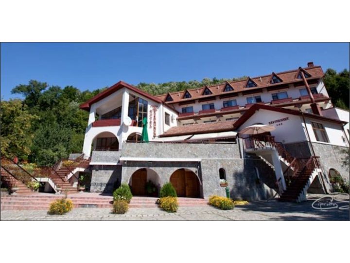 Hotel Mc Pietroasa
